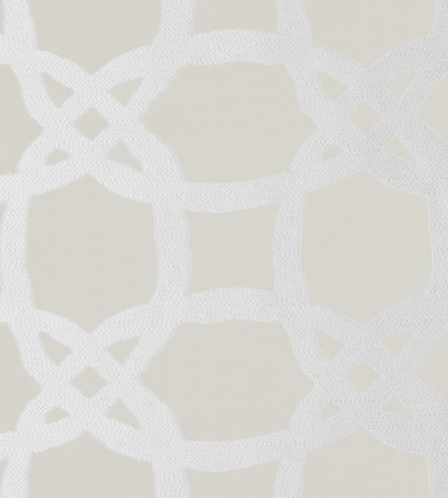 Fascino Fabric by Clarke & Clarke Champagne
