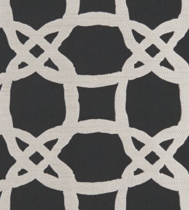 Fascino Fabric by Clarke & Clarke Nero