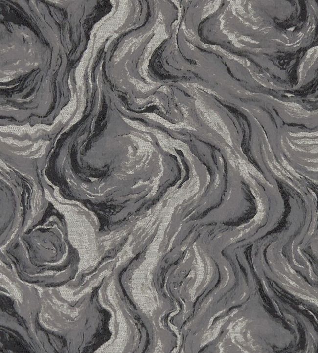 Lavico Fabric by Clarke & Clarke Nero