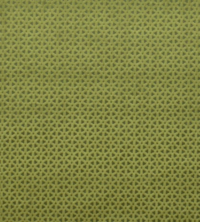 Loreto Fabric by Studio G Olive