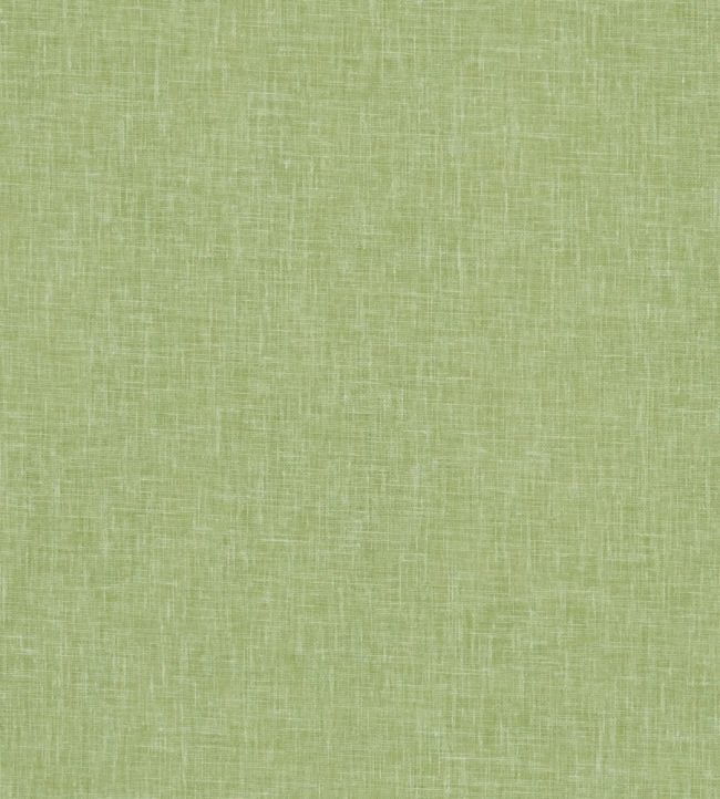 Midori Fabric by Clarke & Clarke Apple