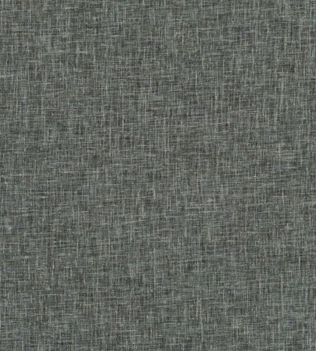 Midori Fabric by Clarke & Clarke Charcoal