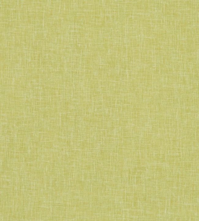 Midori Fabric by Clarke & Clarke Citron