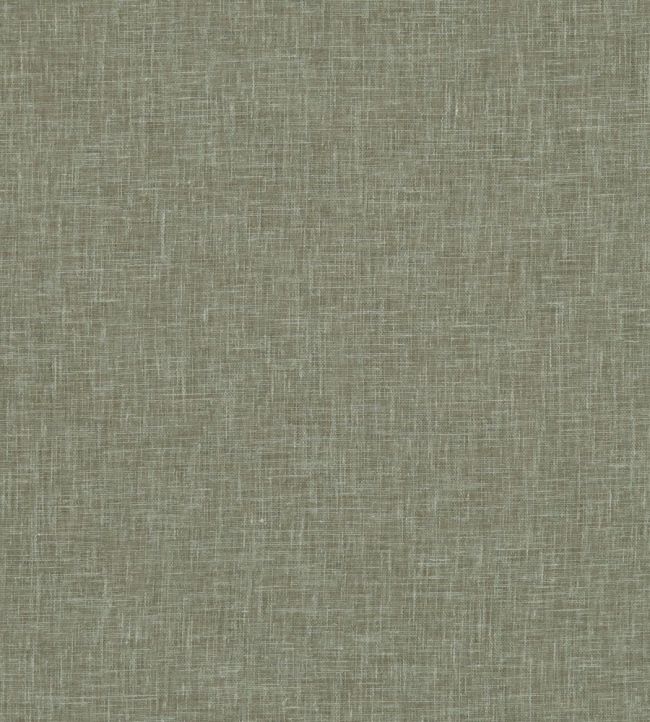 Midori Fabric by Clarke & Clarke Herb
