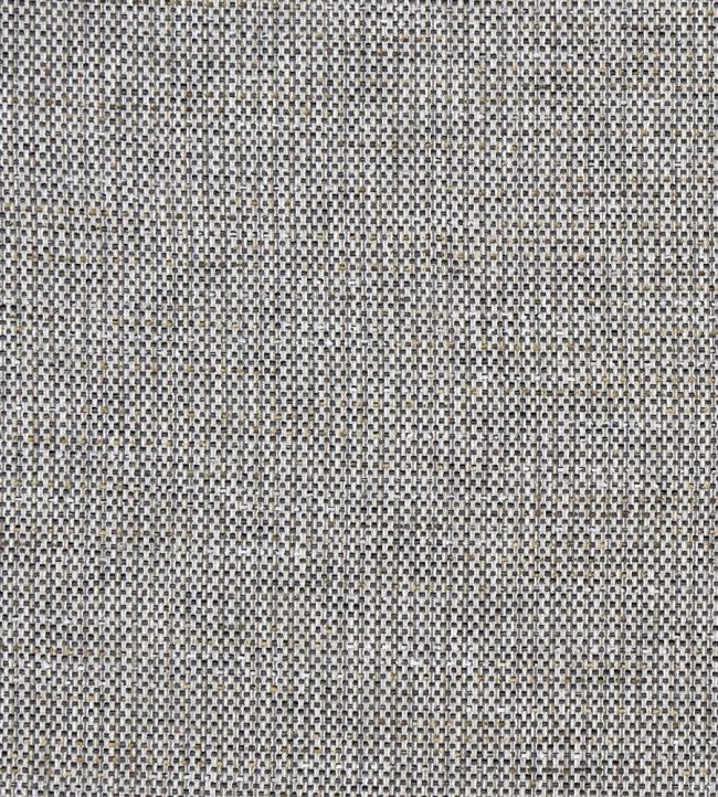 Louis Fabric by Clarke & Clarke Charcoal