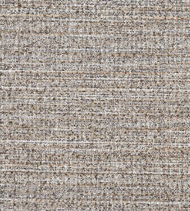 Pierre Fabric by Clarke & Clarke Charcoal