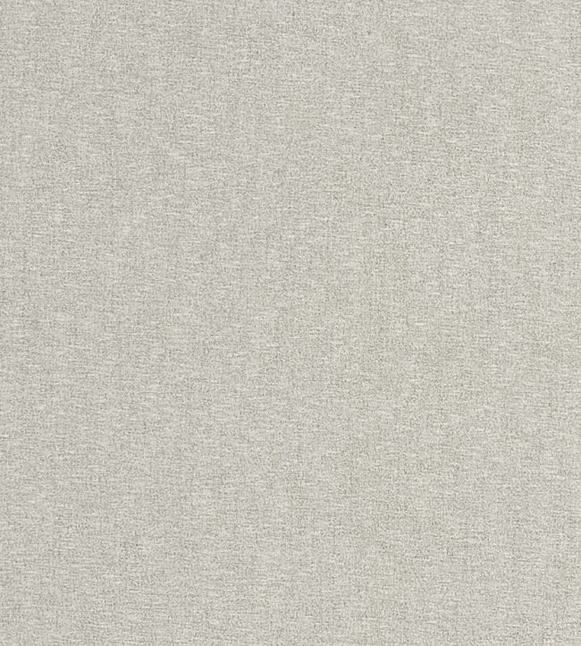 Atmosphere Fabric by Clarke & Clarke Ivory