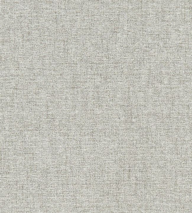 Atmosphere Fabric by Clarke & Clarke Silver