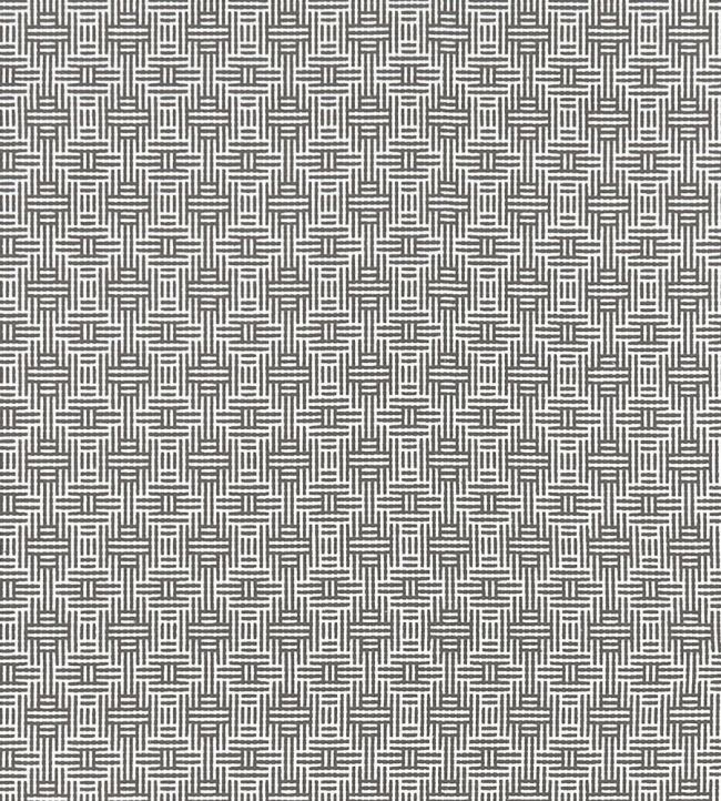Aztec Fabric by Clarke & Clarke Charcoal