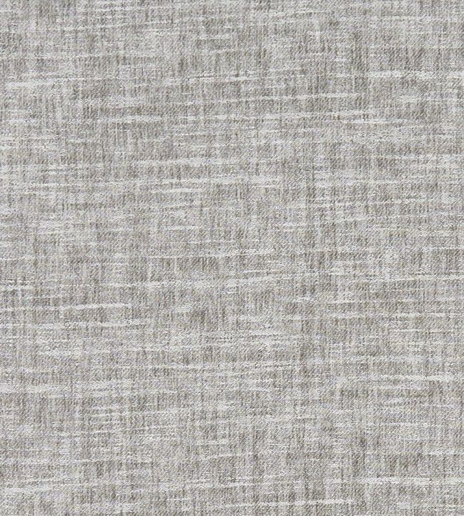 Mizo Fabric by Clarke & Clarke Silver