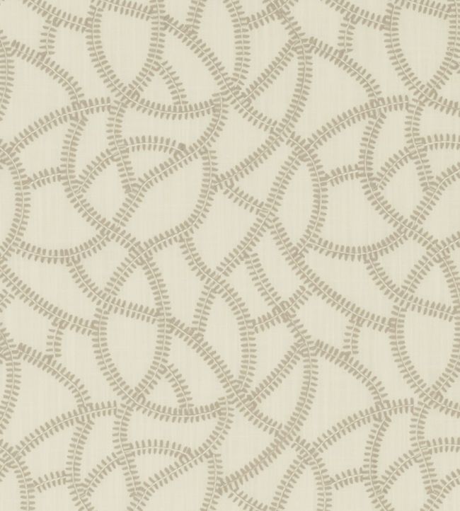 Panache Fabric by Clarke & Clarke Ivory