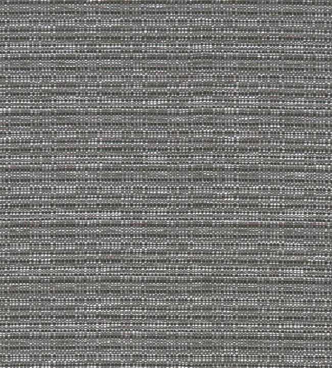Ramie Fabric by Clarke & Clarke Charcoal