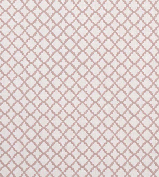 Ariyana Fabric by Clarke & Clarke Blush