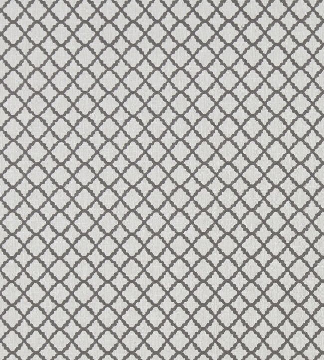 Ariyana Fabric by Clarke & Clarke Charcoal