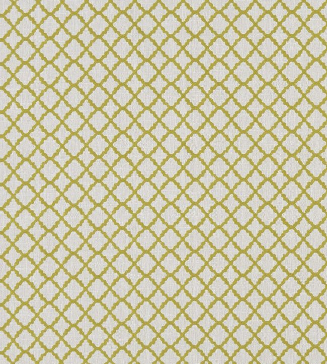Ariyana Fabric by Clarke & Clarke Chartreuse