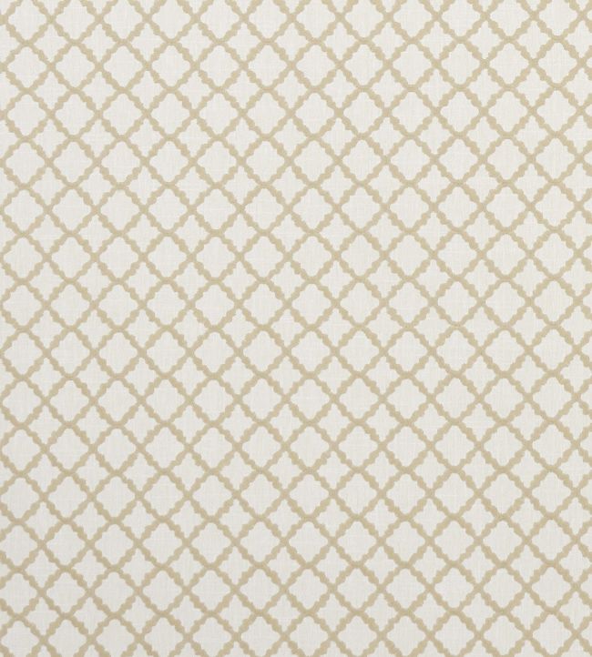 Ariyana Fabric by Clarke & Clarke Natural
