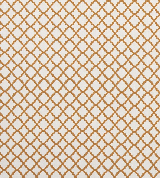 Ariyana Fabric by Clarke & Clarke Spice