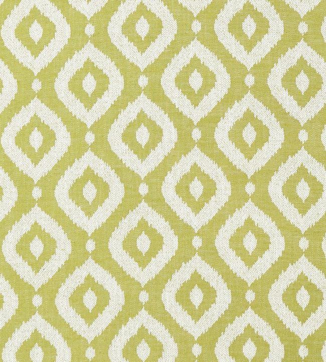 Soraya Fabric by Clarke & Clarke Apple