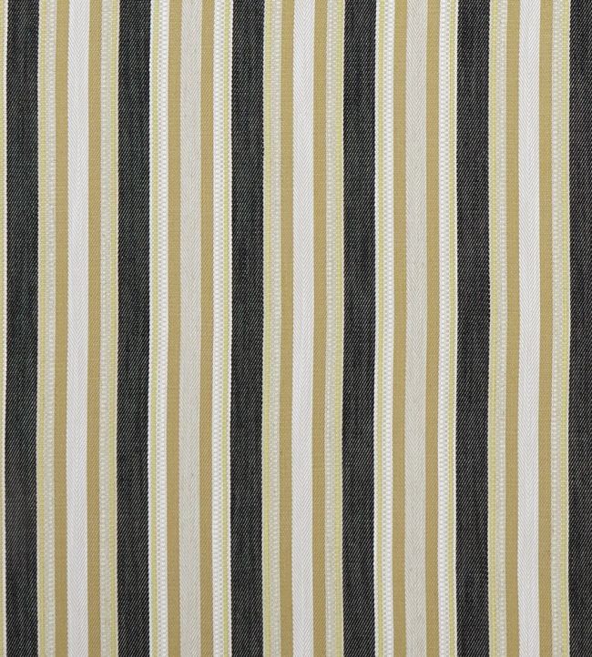 Ziba Fabric by Clarke & Clarke Charcoal/Ochre
