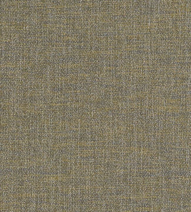 Llanara Fabric by Clarke & Clarke Antique