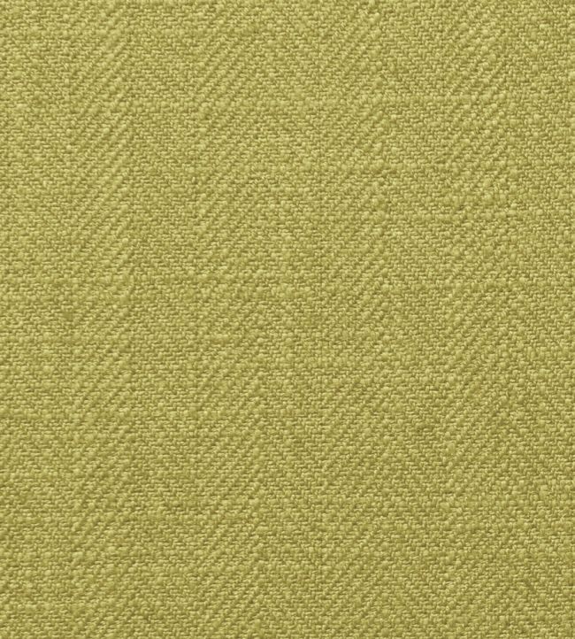 Henley Fabric by Clarke & Clarke Apple
