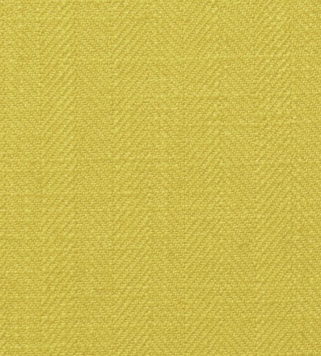 Henley Fabric by Clarke & Clarke Citrus