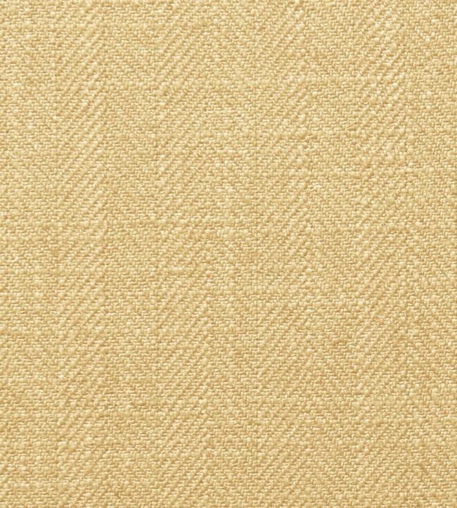 Henley Fabric by Clarke & Clarke Honey