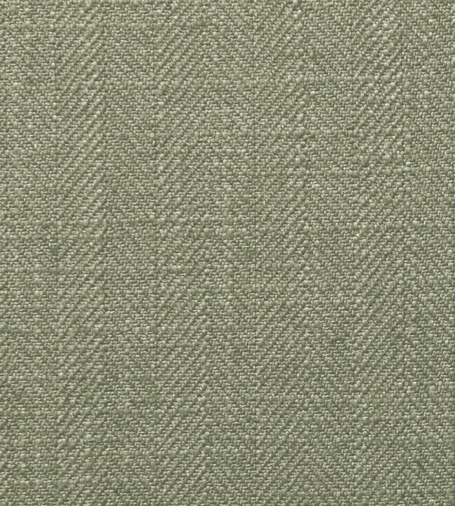 Henley Fabric by Clarke & Clarke Olive