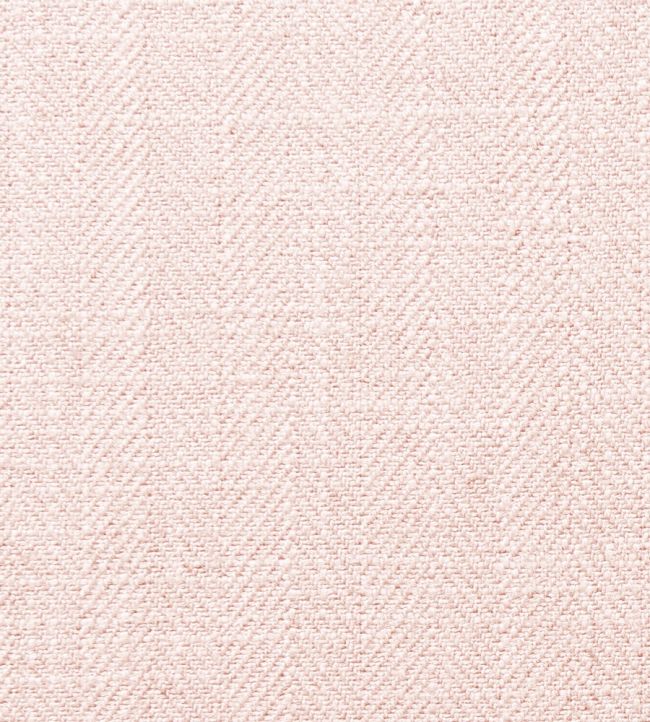 Henley Fabric by Clarke & Clarke Rose
