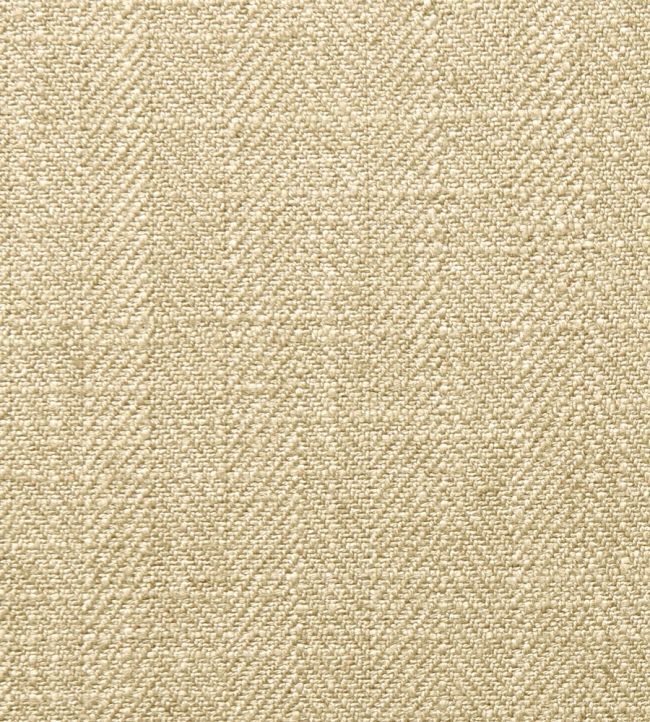 Henley Fabric by Clarke & Clarke Seasame