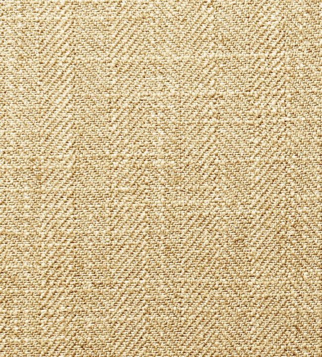 Henley Fabric by Clarke & Clarke Straw