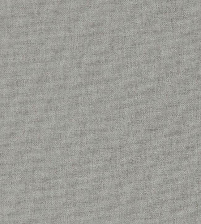 Highlander Fabric by Clarke & Clarke Ash