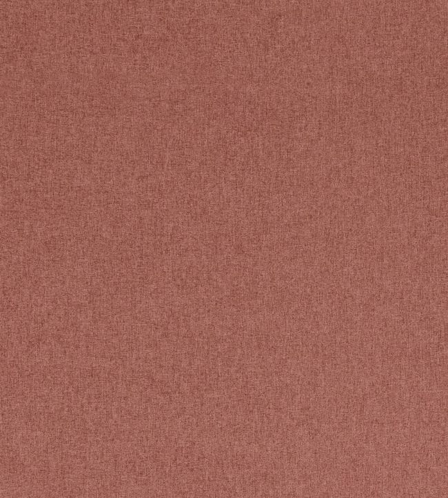 Highlander Fabric by Clarke & Clarke Cameo