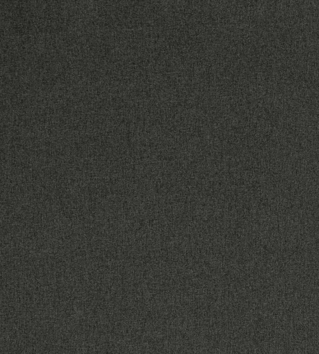 Highlander Fabric by Clarke & Clarke Ebony