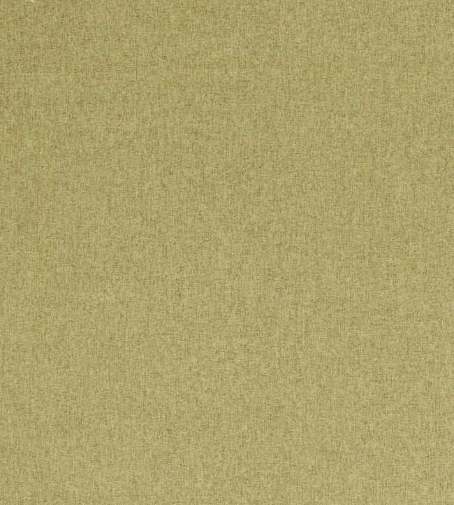 Highlander Fabric by Clarke & Clarke Fern