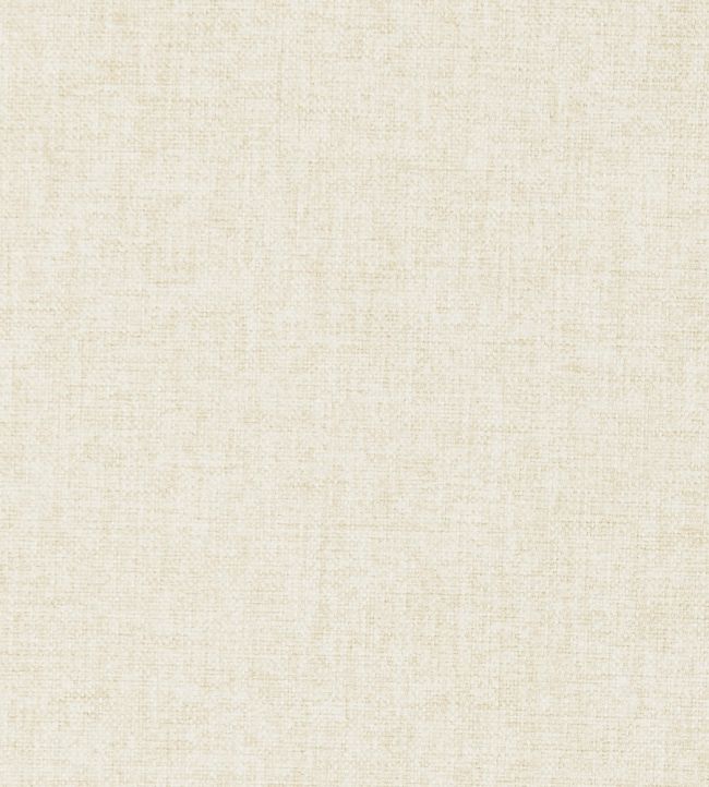 Highlander Fabric by Clarke & Clarke Ivory