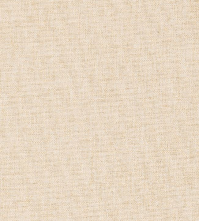 Highlander Fabric by Clarke & Clarke Natural