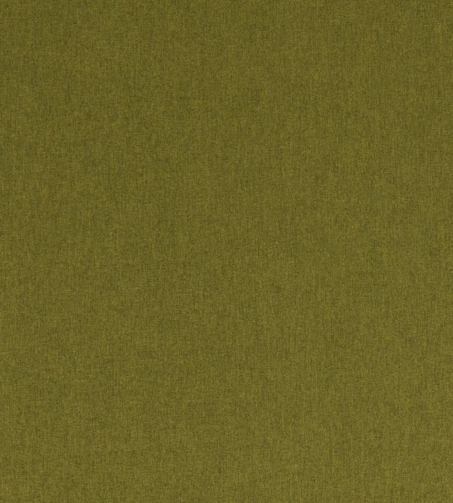 Highlander Fabric by Clarke & Clarke Olive