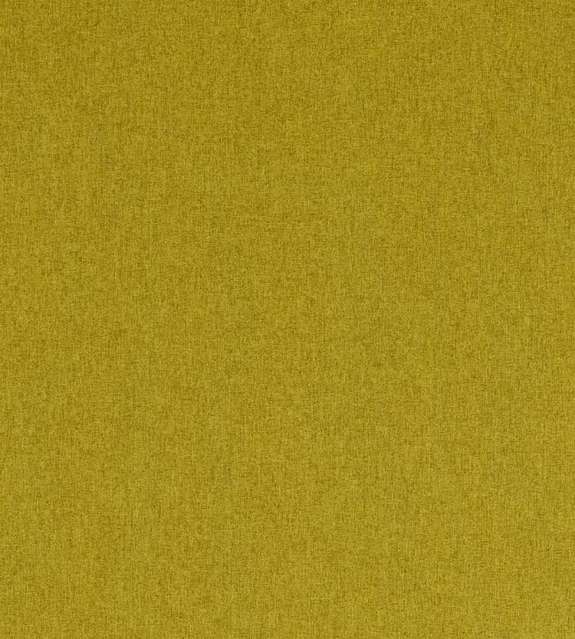 Highlander Fabric by Clarke & Clarke Palm
