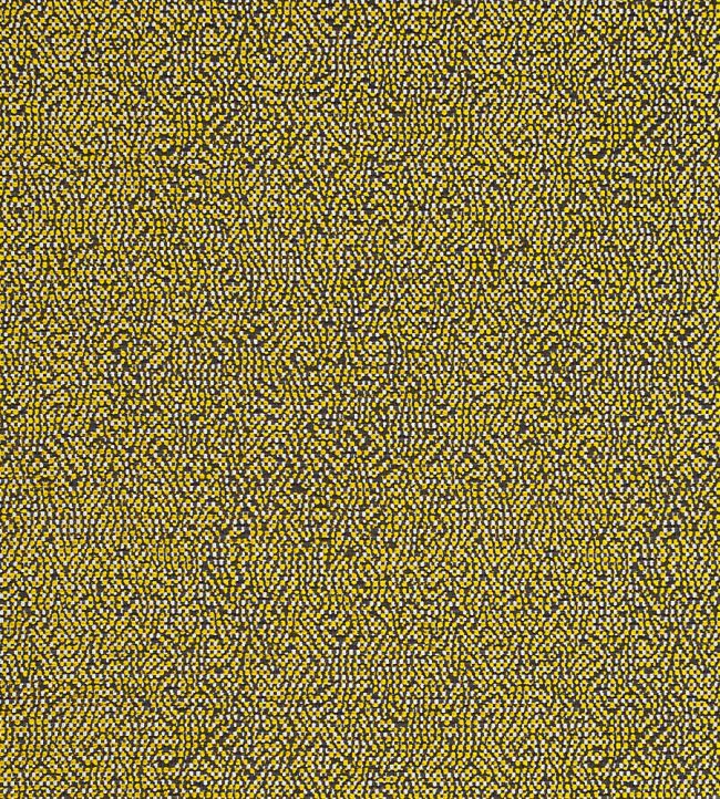 Beauvoir Fabric by Clarke & Clarke Citrus