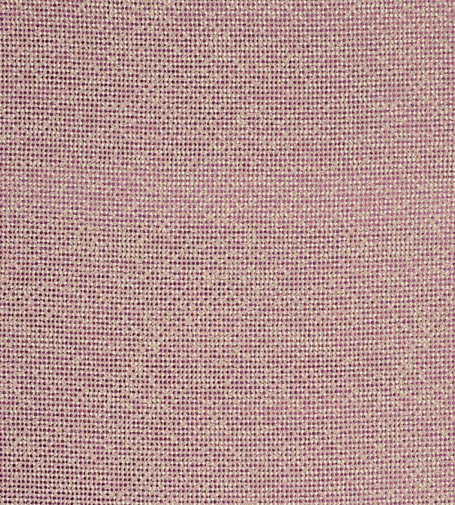 Beauvoir Fabric by Clarke & Clarke Orchid