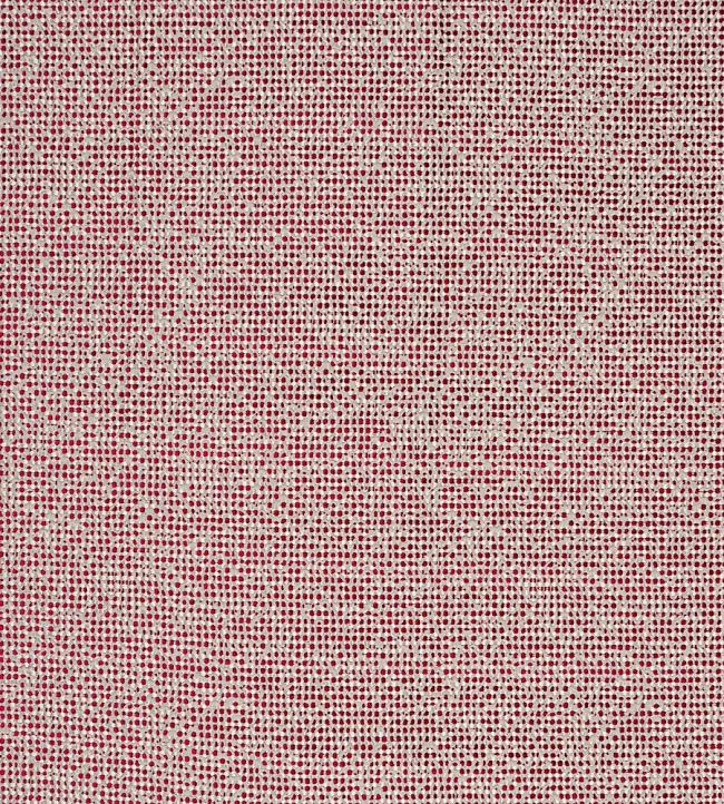 Beauvoir Fabric by Clarke & Clarke Passion