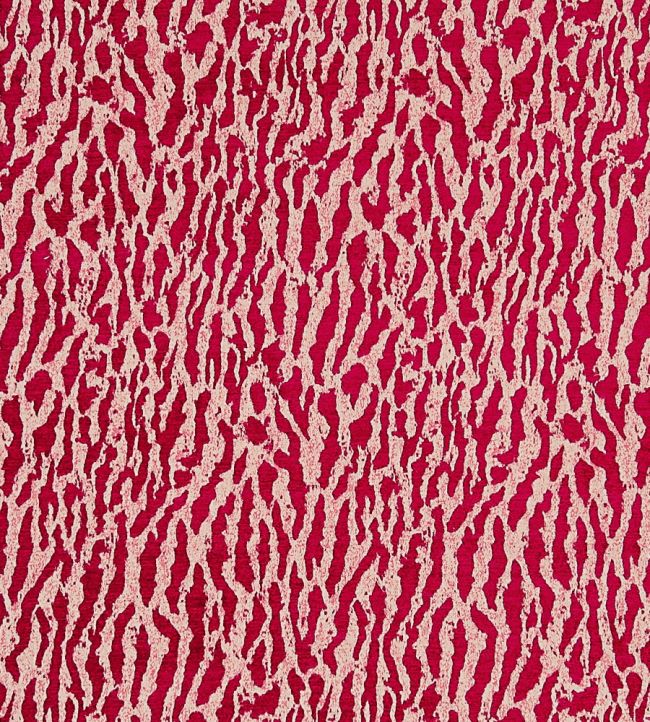 Gautier Fabric by Clarke & Clarke Passion
