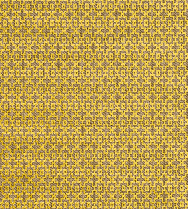 Mansour Fabric by Clarke & Clarke Citrus