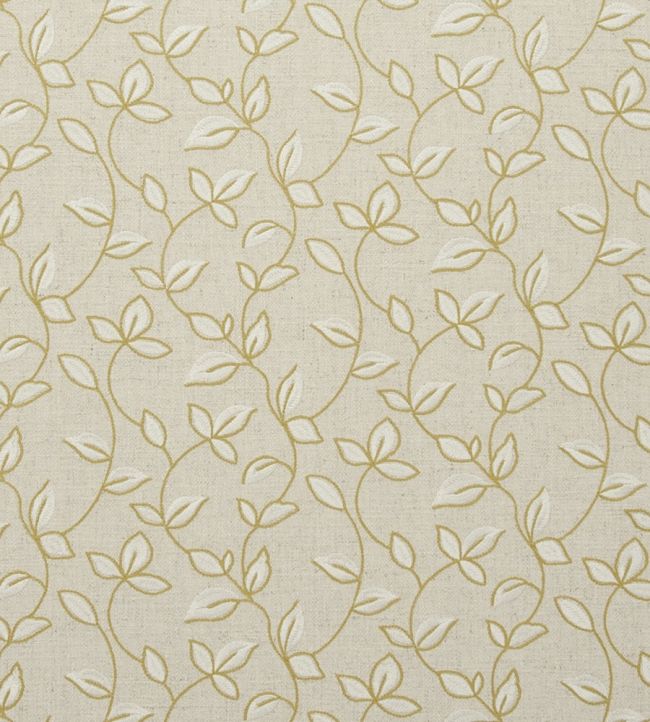 Chartwell Fabric by Clarke & Clarke Acacia