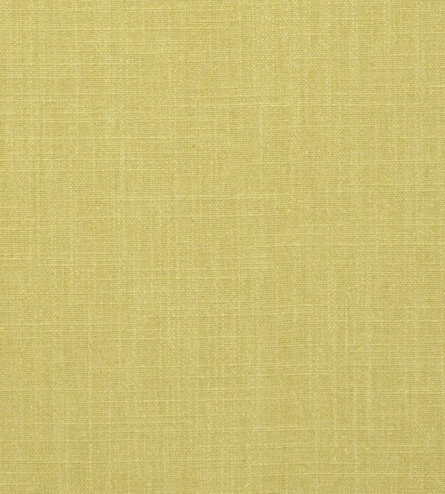 Easton Fabric by Clarke & Clarke Acacia