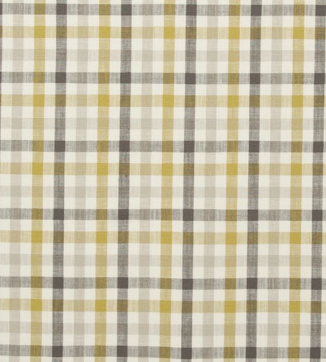 Hatfield Fabric by Clarke & Clarke Acacia