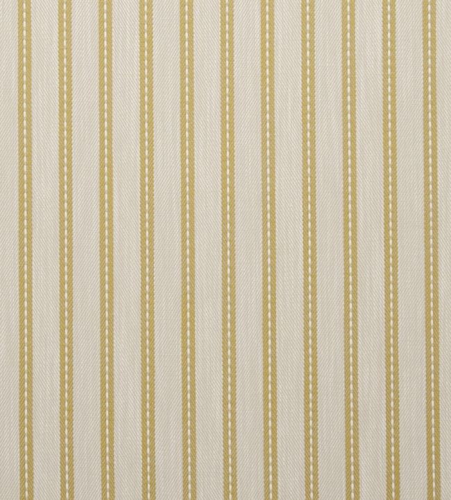 Welbeck Fabric by Clarke & Clarke Acacia