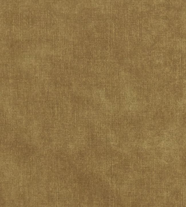 Martello Fabric by Clarke & Clarke Antique