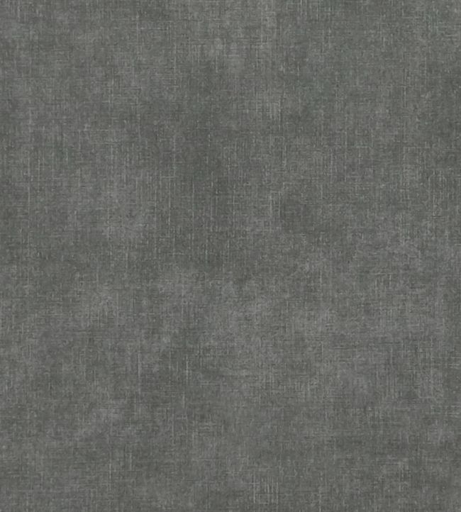 Martello Fabric by Clarke & Clarke Ash